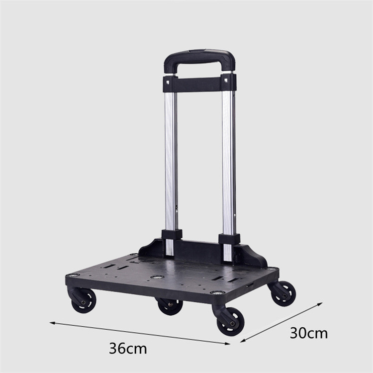 Portable transparent pet trolley case